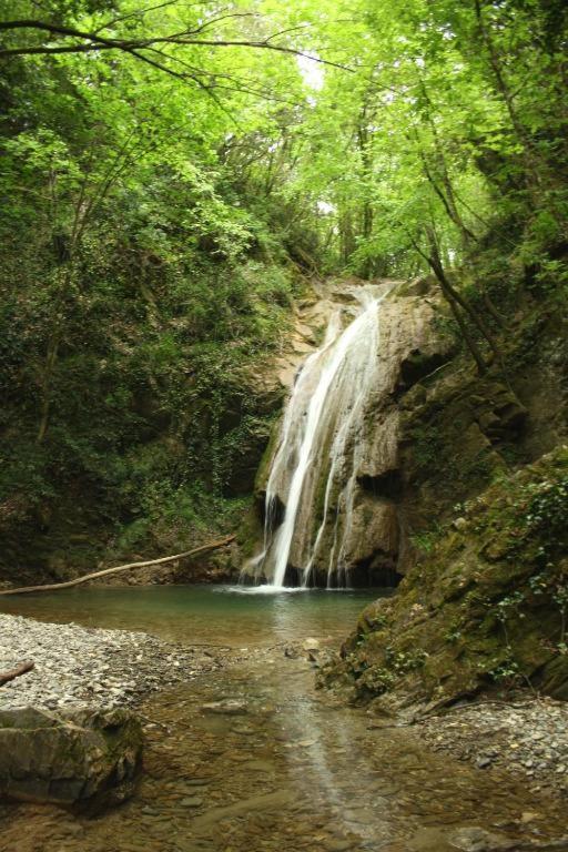 شقة La Casa Di Chianni La Pieve المظهر الخارجي الصورة